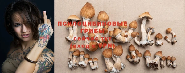 прущая мука Балахна
