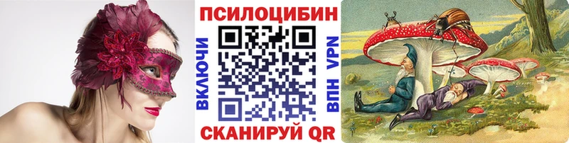 магазин  наркотиков  Хилок  Галлюциногенные грибы Psilocybe 